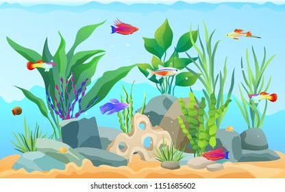Hand drawn aquarium with fish and seaweed. Goldfish and neon tetra, green tiger barb and blue striped tamiran wrasse swimming among underwater plants