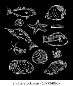 Hand drawn of aquatic animals 