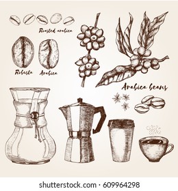 Hand drawn arabica and robusta beans, kemex, cup and mug, geyser coffee