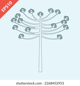 hand drawn araucaria tree design vector flat modern isolated illustration