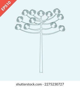 hand drawn araucaria tree design vector flat modern isolated illustration