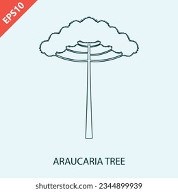 Hand drawn araucaria tree isolated on background. araucaria design vector flat modern illustration