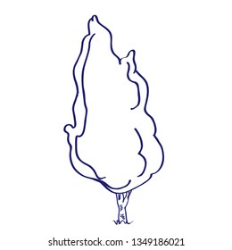 Hand drawn architectural tree. Vector sketch. Architectural illustration, landscape elements.