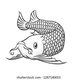 Hand drawn arowana fish. Vector Illustration.