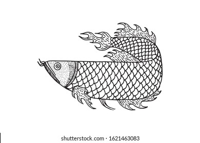 Hand drawn arowana fish. Vector Illustration. for logo or other design. isolated in white background