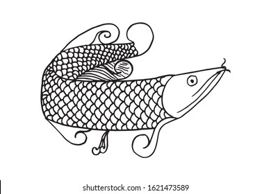 Hand drawn arowana fish. Vector Illustration. for logo or other design. isolated in white background