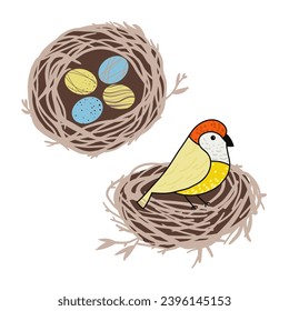 Hand drawn art of bird nest