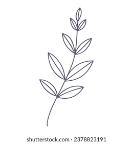 Dibujo a mano de una hoja elegante.