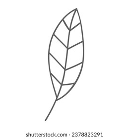 Hand drawn art of elegant leaf.