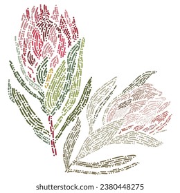 Hand drawn of artichoke flower.	