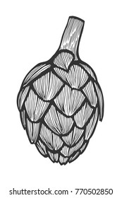 Hand drawn Artichoke Vector illustration. Fresh organic vegetable, herb in engraved style.