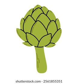 Hand drawn artichoke vegetable. Green artichoke bud in simple doodle style. Green healthy organic vegetable. Nutrition vegetarian flower
