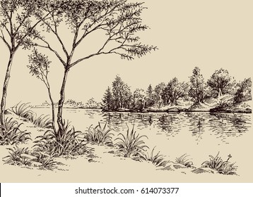Hand drawn artistic landscape. River banks, trees and vegetation