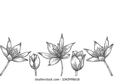 Hand drawn artwork flowers. Vector coloring book pages. Love bohemia concept for wedding invitations, cards, tickets, congratulations, branding, boutique logo. Coloring book page for adults