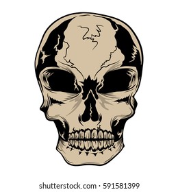 Hand drawn artwork of skull.  Can be used as a logo, sticker, print and etc.