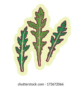 Hand drawn arugula cartoon vector.