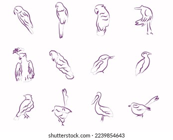 hand drawn asia pacific bird ink brush vector illustration set bundle