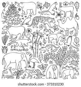 Hand Drawn Asia Set. Vector Illustration With Asian Animals And Plants