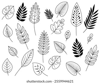 Hand Drawn Assorted Decorative Leaves