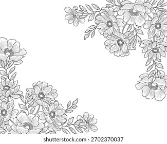Hand Drawn Aster Line Art Flower Border