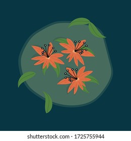 hand drawn astrantia flowers vector illustration. creative floral designs for fabric, wrapping, wallpaper, textile, apparel. 