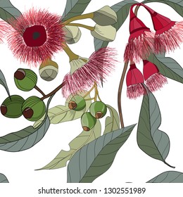 Hand Drawn Australia Gum Nut Leaf And Red Flowers Seamless Pattern On White Background