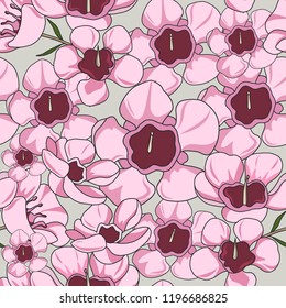 hand drawn australia native flower geraldton wax seamless pattern