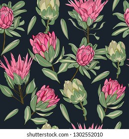 hand drawn australia native flower protea in seamless pattern vector illustration