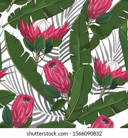 hand drawn australia native flower, protea and banana leaf seamless patten on white background
