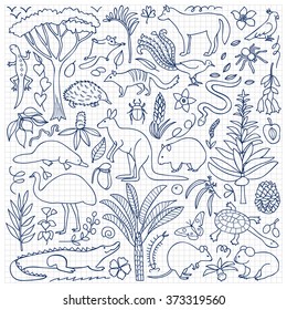 Hand drawn Australia set on squared paper. Vector illustration with Australian animals and plants