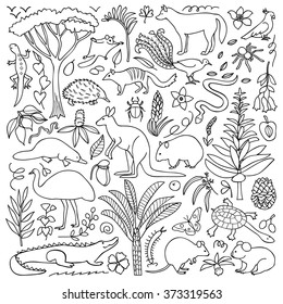 Hand Drawn Australia Set. Vector Illustration With Australian Animals And Plants