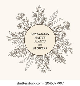 Hand drawn Australian flowers frame svg