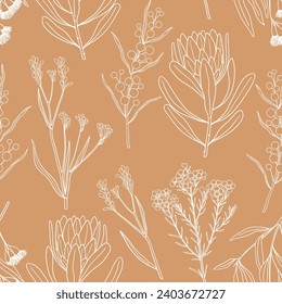 Hand drawn Australian flowers and plants seamless pattern