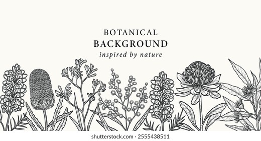 Hand drawn Australian flowers and plants background