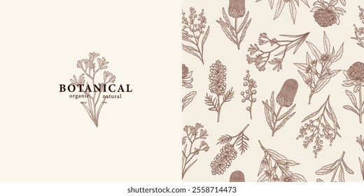 Hand drawn Australian flowers and plants background and logo