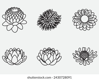 hand drawn australian native flower outline icon doodle set