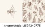 Hand drawn Australian native flowers and plants background. Eucalyptus branch logo