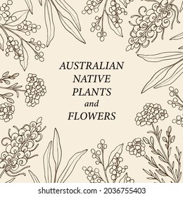 Hand Drawn Australian Native Flowers Frame