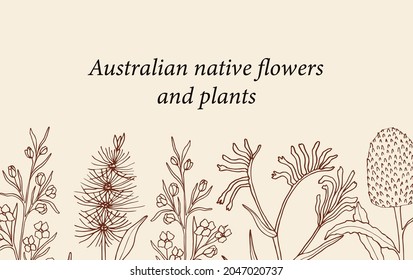 Hand drawn Australian native flowers background
