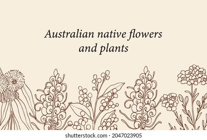 Fondo de flores nativas australianas dibujadas a mano