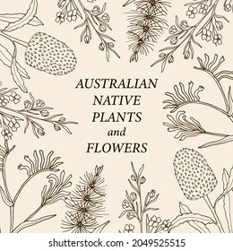 Hand drawn Australian native flowers border svg