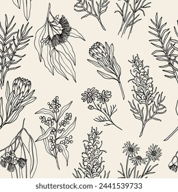 Hand drawn Australian native flowers and plants background