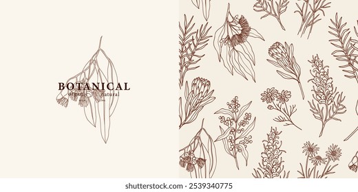 Fundo de flores e plantas nativas australianas desenhadas à mão. Logotipo do ramo do eucalipto