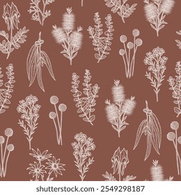 Hand drawn Australian native flowers seamless pattern