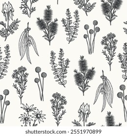 Hand drawn Australian native flowers background