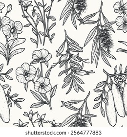 Hand drawn Australian native plants and flowers background. Cooktown orchid, eremophila, finger lime, Sturt's desert rose, royal bluebell, tea tree