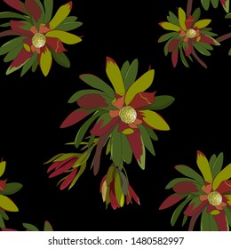 hand drawn australian native wild flower leucadendron colorful green and red leaf in seamless pattern on dark background