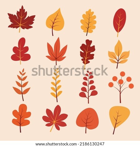 Hand drawn autumm forest leaves elements.Autumn leaves. Oak, maple, elm dry fallen leaf. Hand drawn fall forest yellow or red foliage. Dried plant leaves, autumnal falling leaf vector set