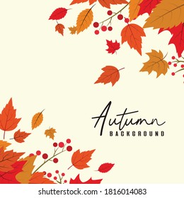 Hand drawn autumn background with elegant style