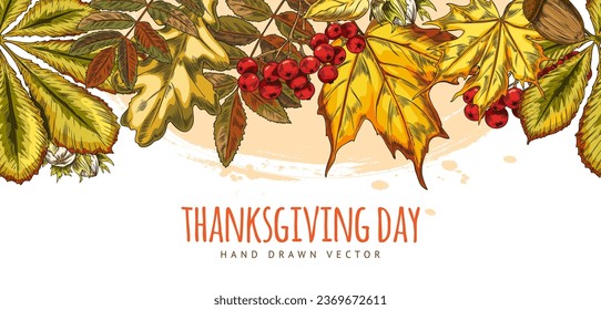 Hand drawn autumn banner with leaves, vector seamless border on white background. Fall foliage and berries on template for Thanksgiving Day. Drawing in colored sketch style nature elements.